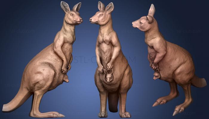 3D model Kangkuru (STL)